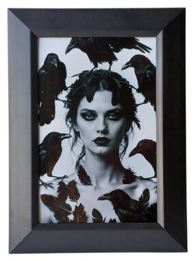 Black raven beautiful Women Gothic Goth Punk Rock Rockabilly Oddy Birds Beauty